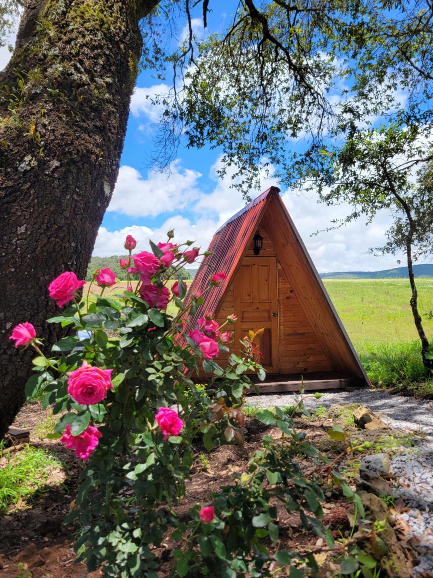 Campestre Camp